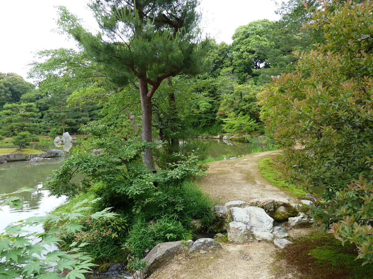 Photo Japon Kyoto Temple Kinkaku-ji (Pavillon d'or) 2010-06 19