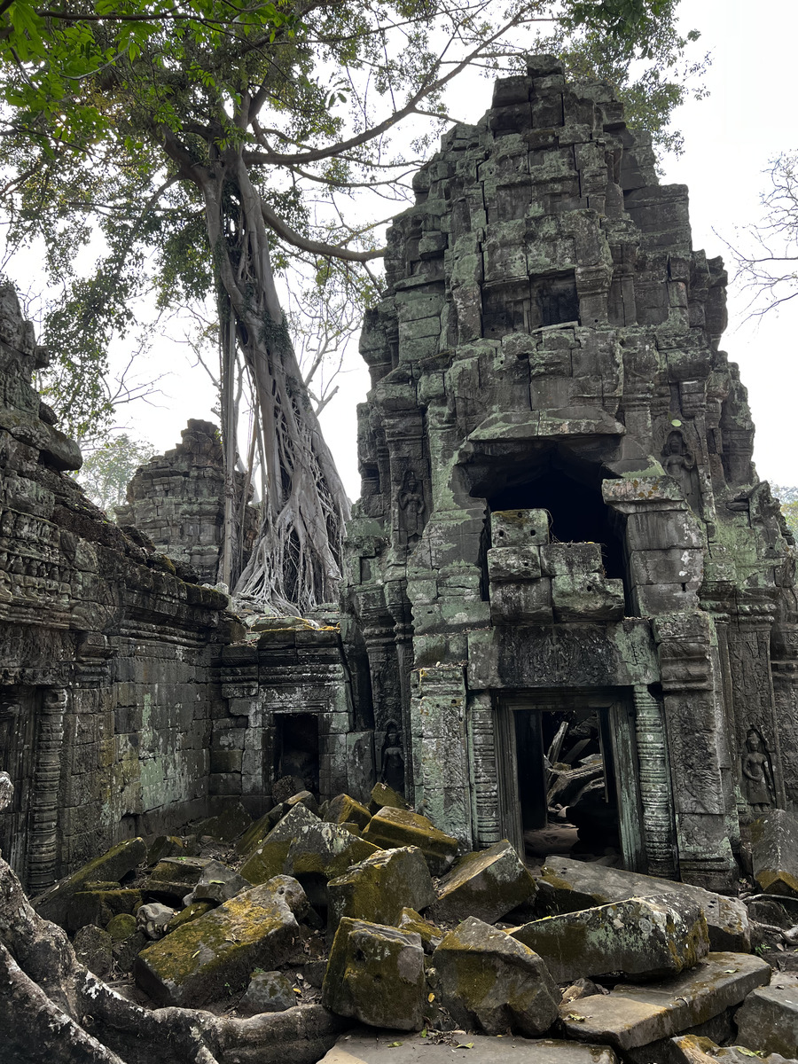 Photo Cambodge Siem Reap Ta Prohm 2023-01 94