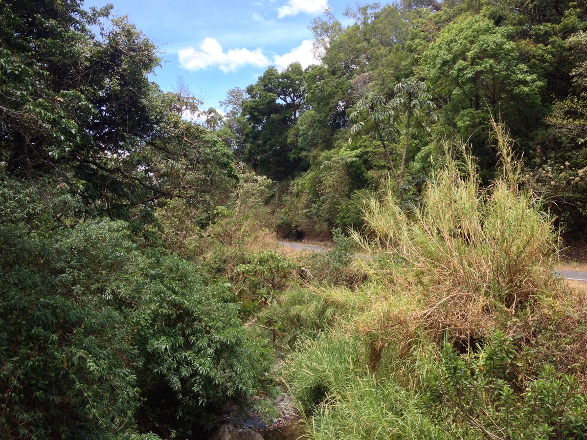 Photo Panama Boquete 2015-03 71