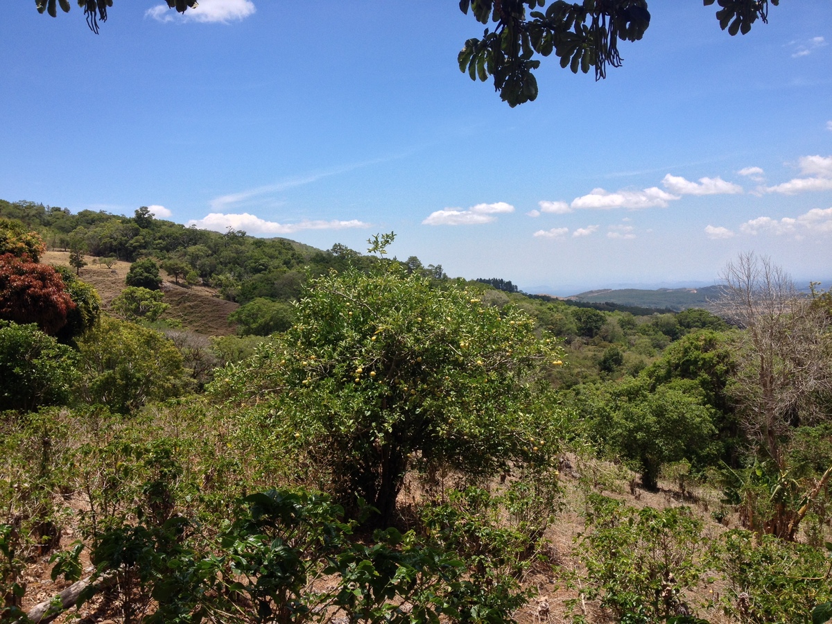 Photo Panama Boquete 2015-03 57
