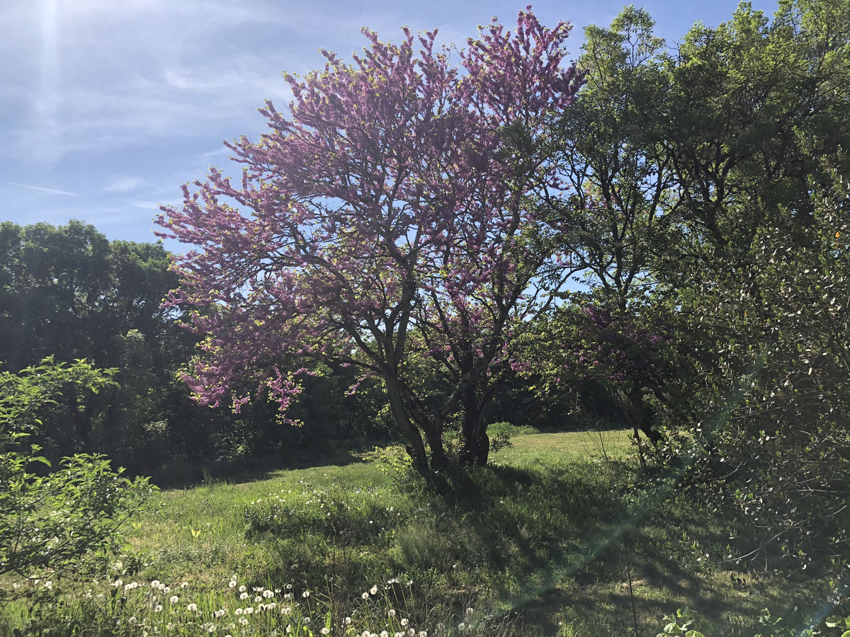 Photo France Rocamadour 2018-04 137