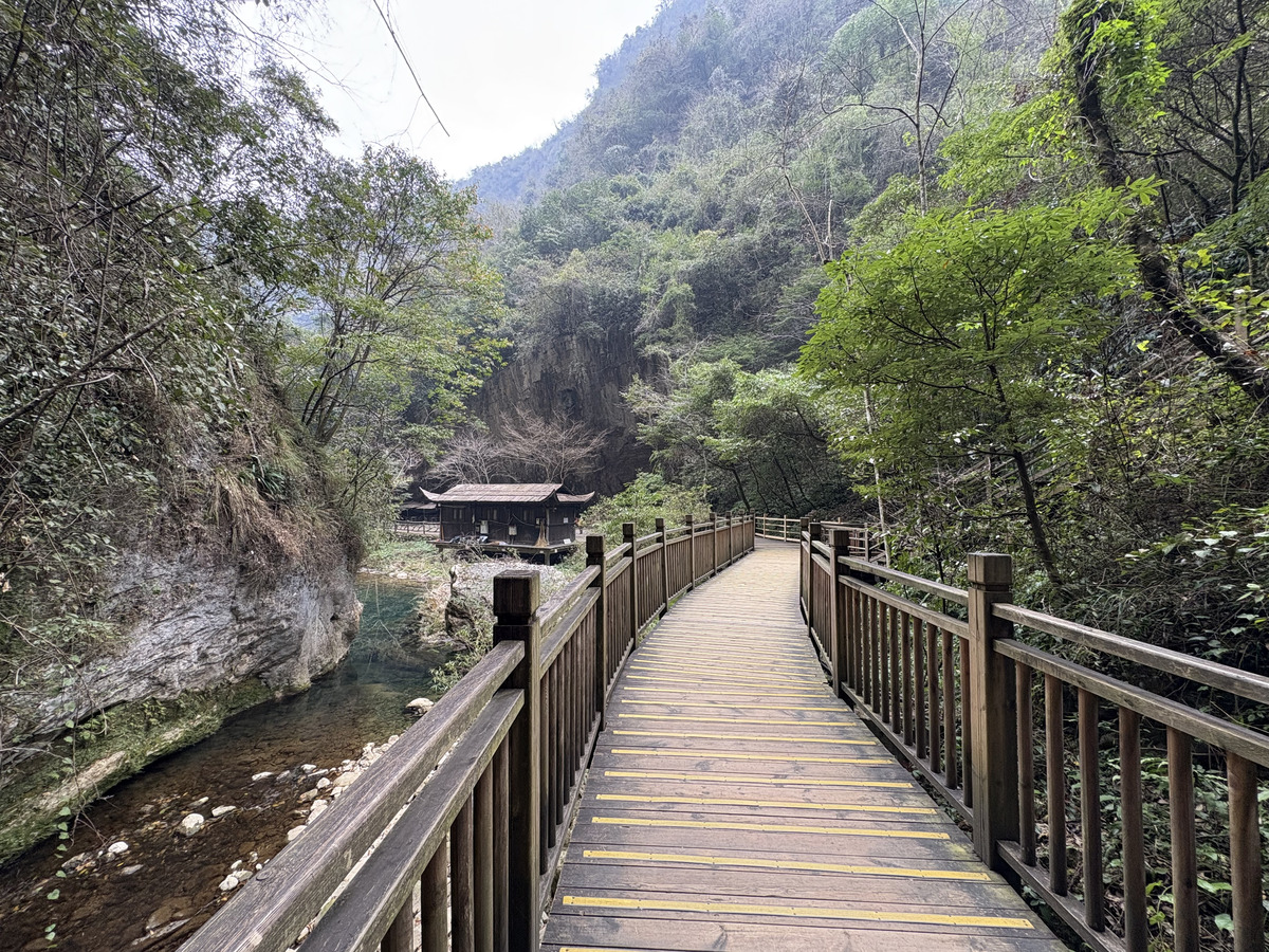 Photo Chine Zhangjiajie Grand Canyon 2026-01 83