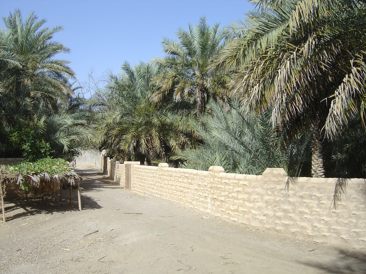 Photo Émirats arabes unis Al Ain Oasis 2005-03 25