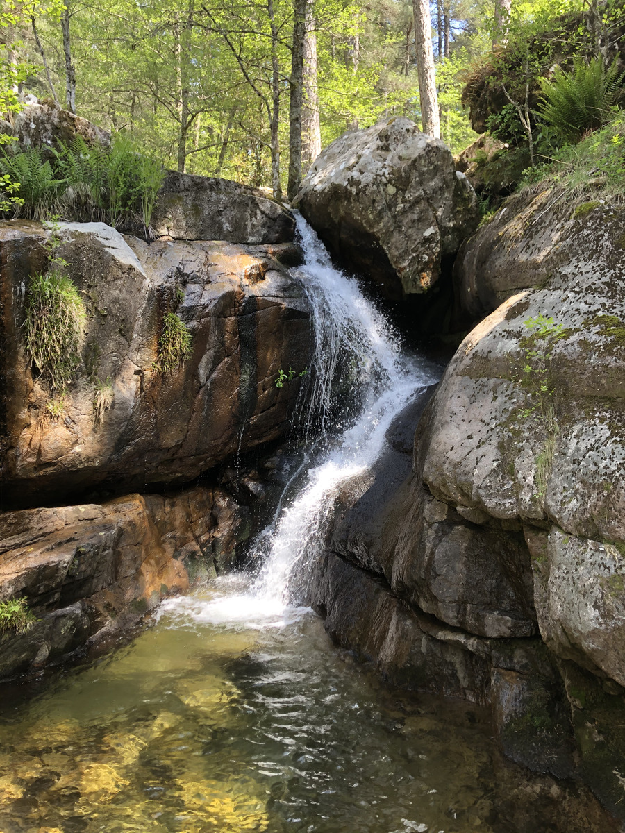 Photo France Corse Forêt d'Aïtone 2021-06 1