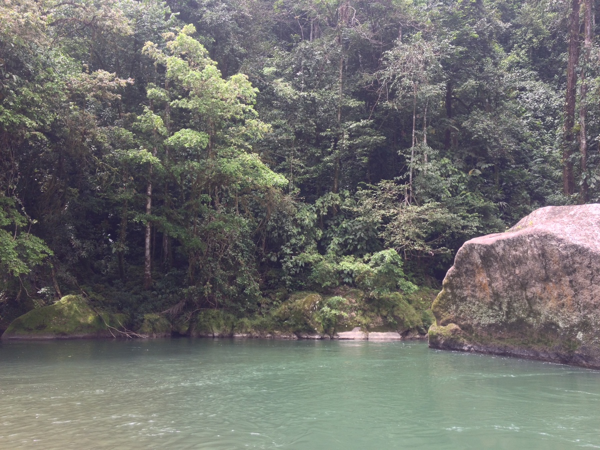 Photo Costa Rica Rivière Pacuare 2015-03 197