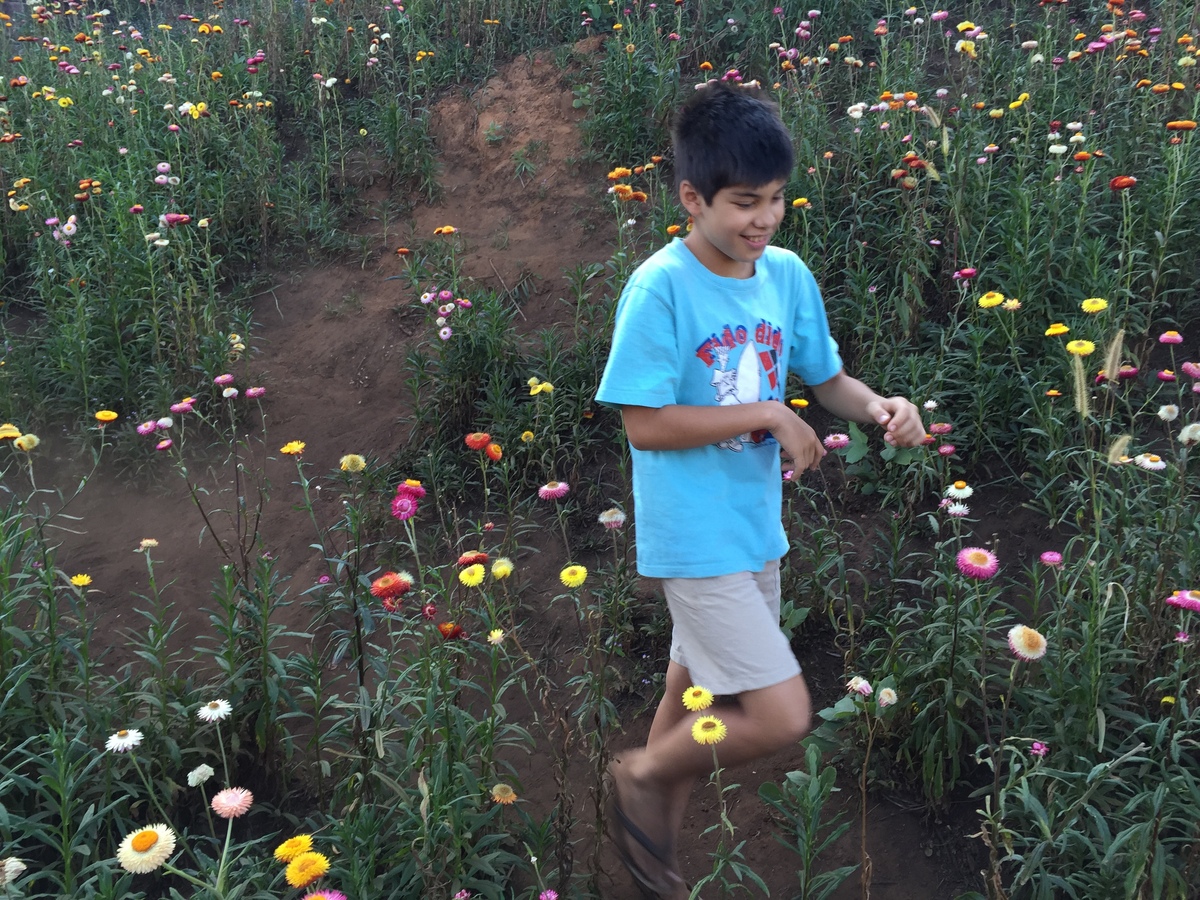 Photo Thaïlande Parc National Phu Hin Rong Kla 2014-12 102