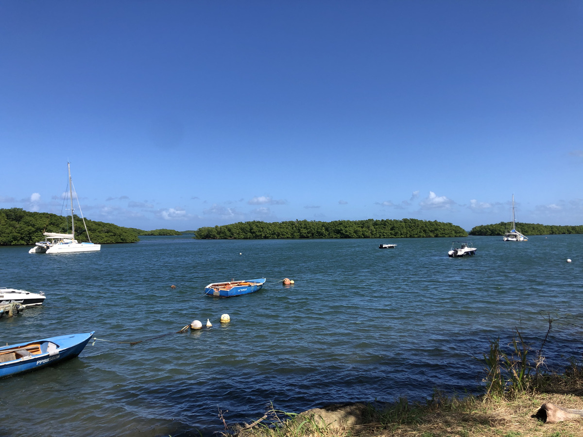 Photo Guadeloupe Sainte Rose 2021-02 1