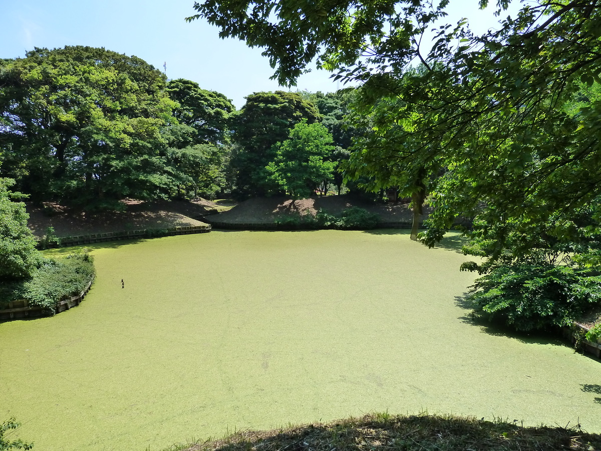 Photo Japon Tokyo Jardins Hama rikyu 2010-06 65