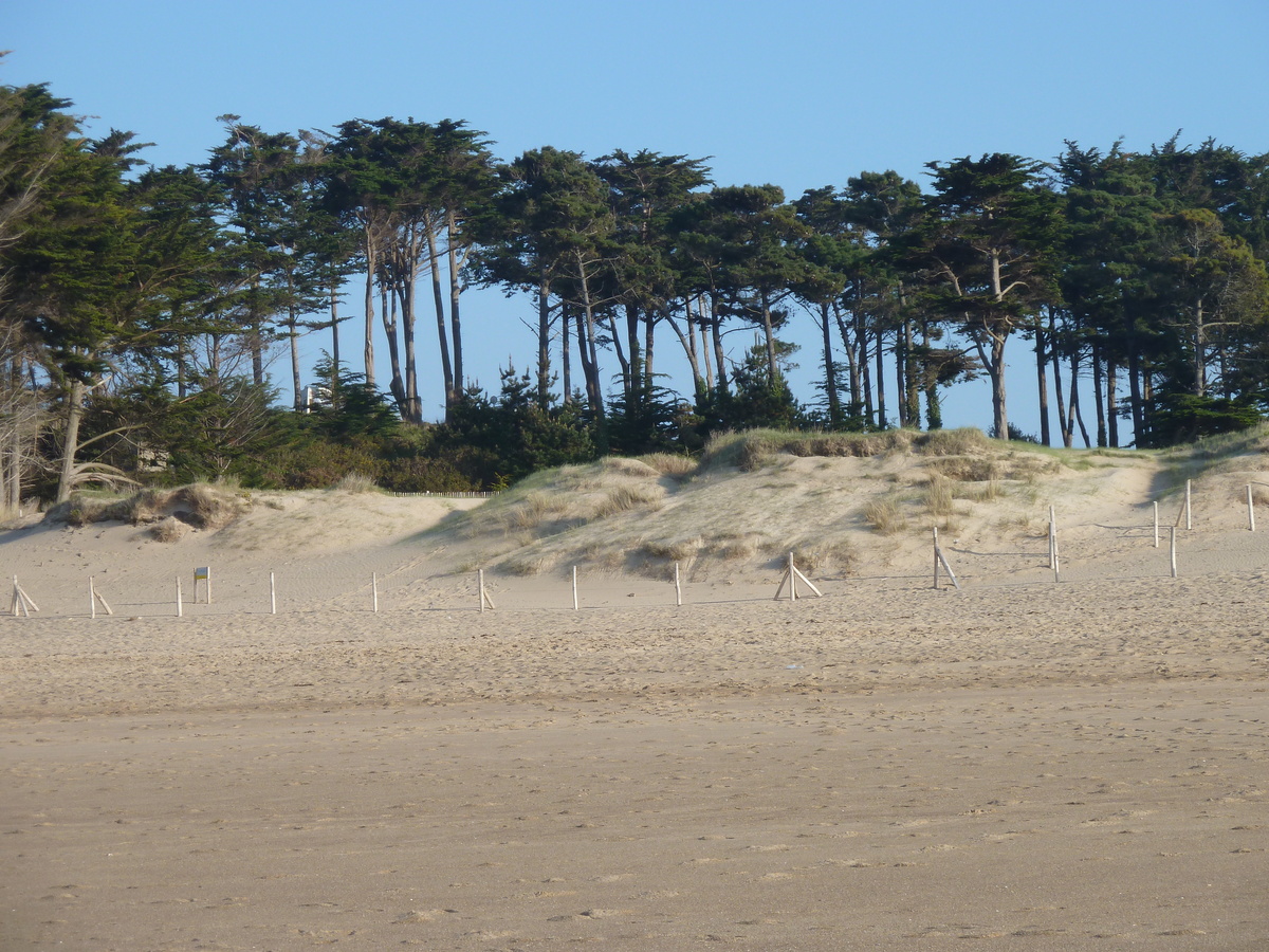 Photo France Saint Coulomb Plage des Chevrets 2010-04 30