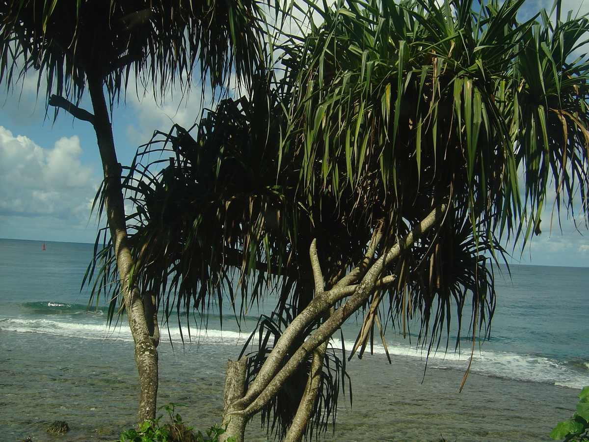 Photo Polynésie Tahiti 2006-04 13