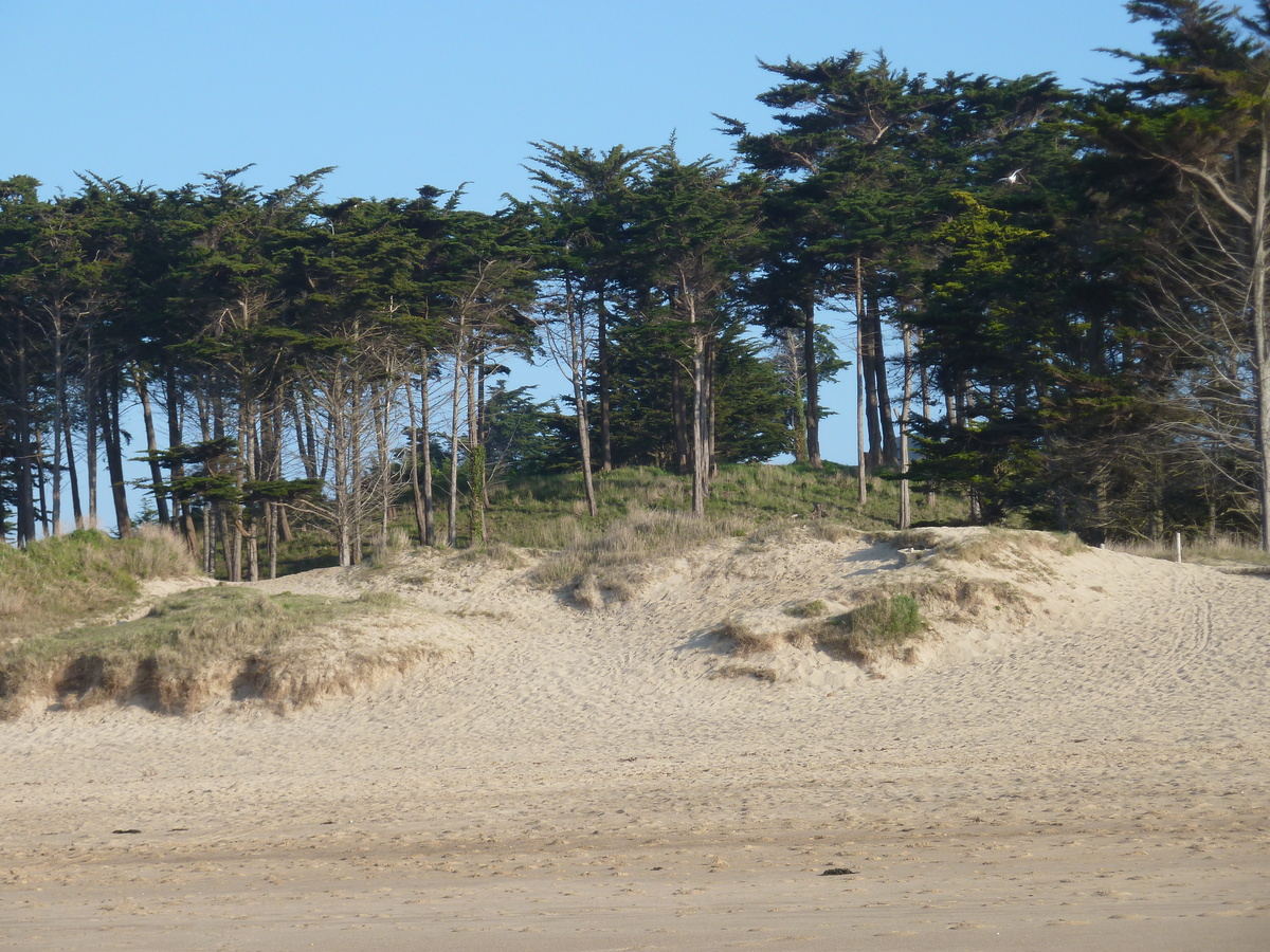 Photo France Saint Coulomb Plage des Chevrets 2010-04 4