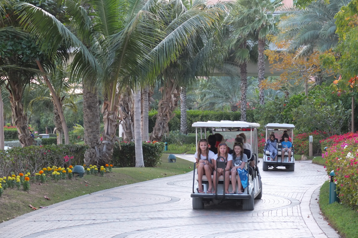 Photo Émirats arabes unis Dubai Hotel Atlantis 2014-02 160