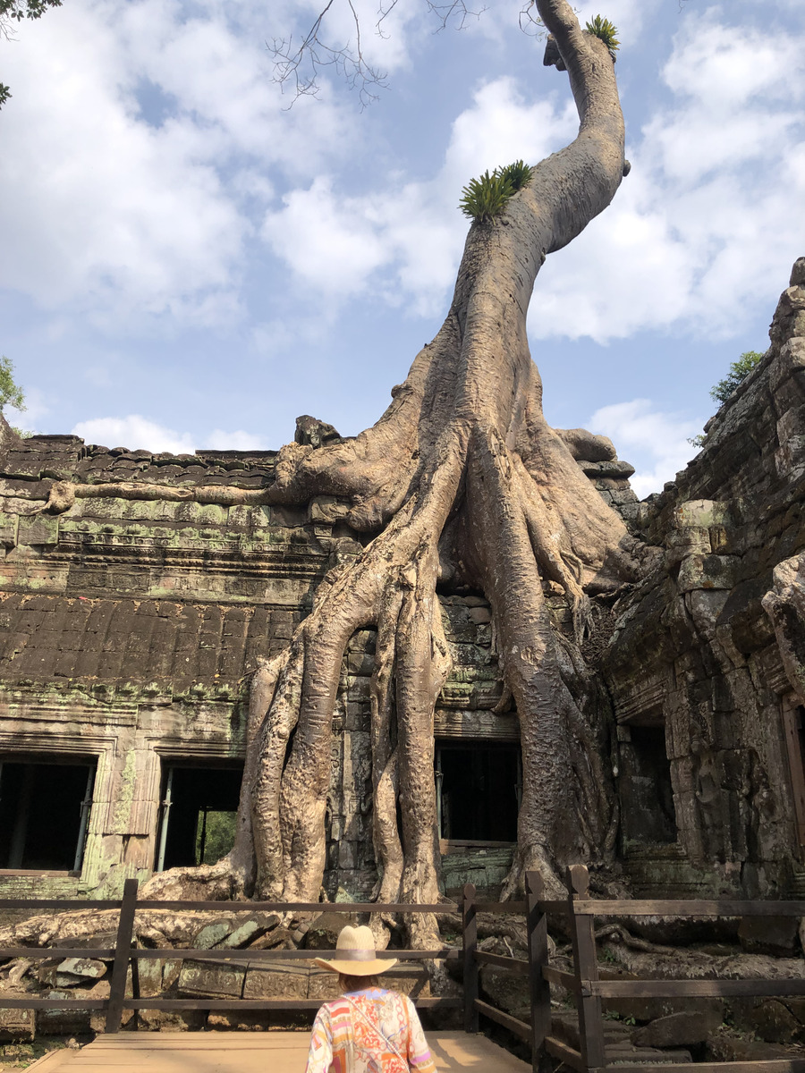 Photo Cambodge Siem Reap Ta Prohm 2023-01 74