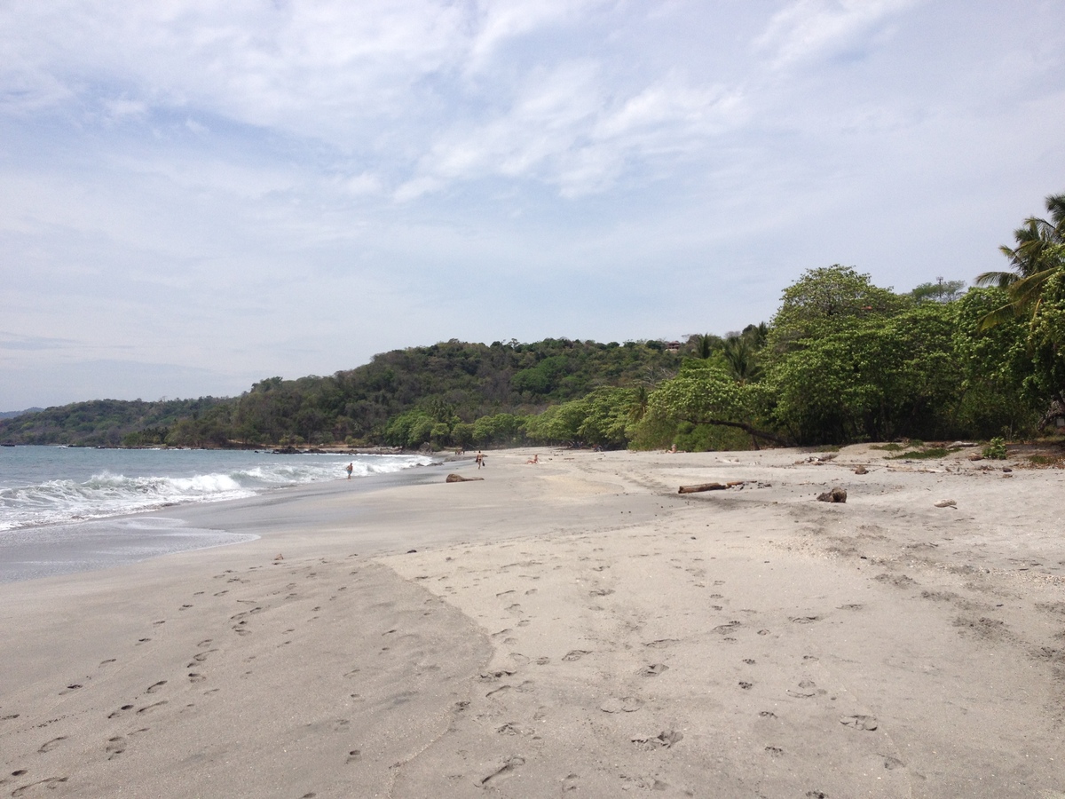 Photo Costa Rica Montezuma 2015-03 543