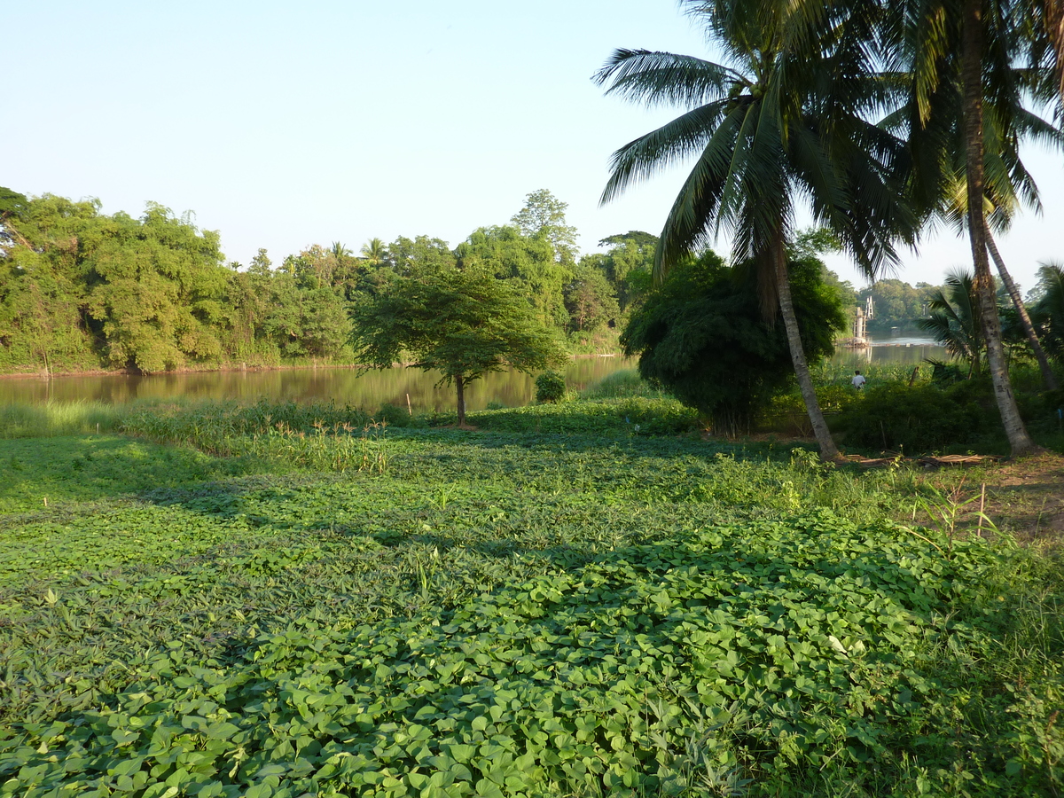 Photo Thaïlande Phitsanulok Chom Thong 2009-12 40