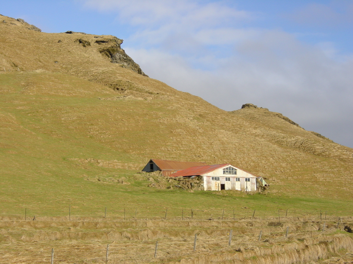 Photo Islande Dyrholaey 2003-03 31