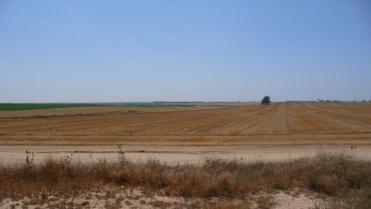 Photo Israel Route de Ashkelon à Arad 2007-06 20