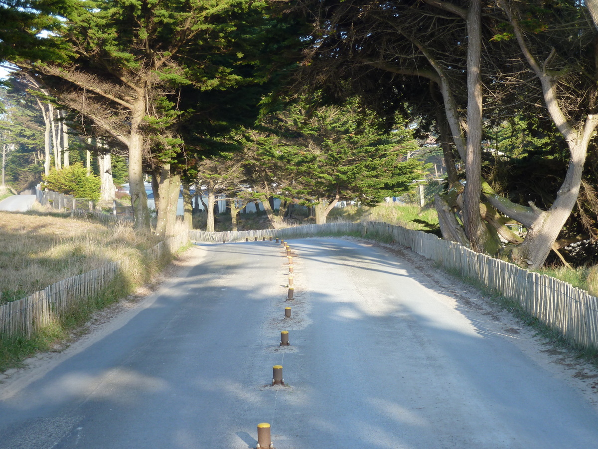 Photo France Saint Coulomb Plage des Chevrets 2010-04 8
