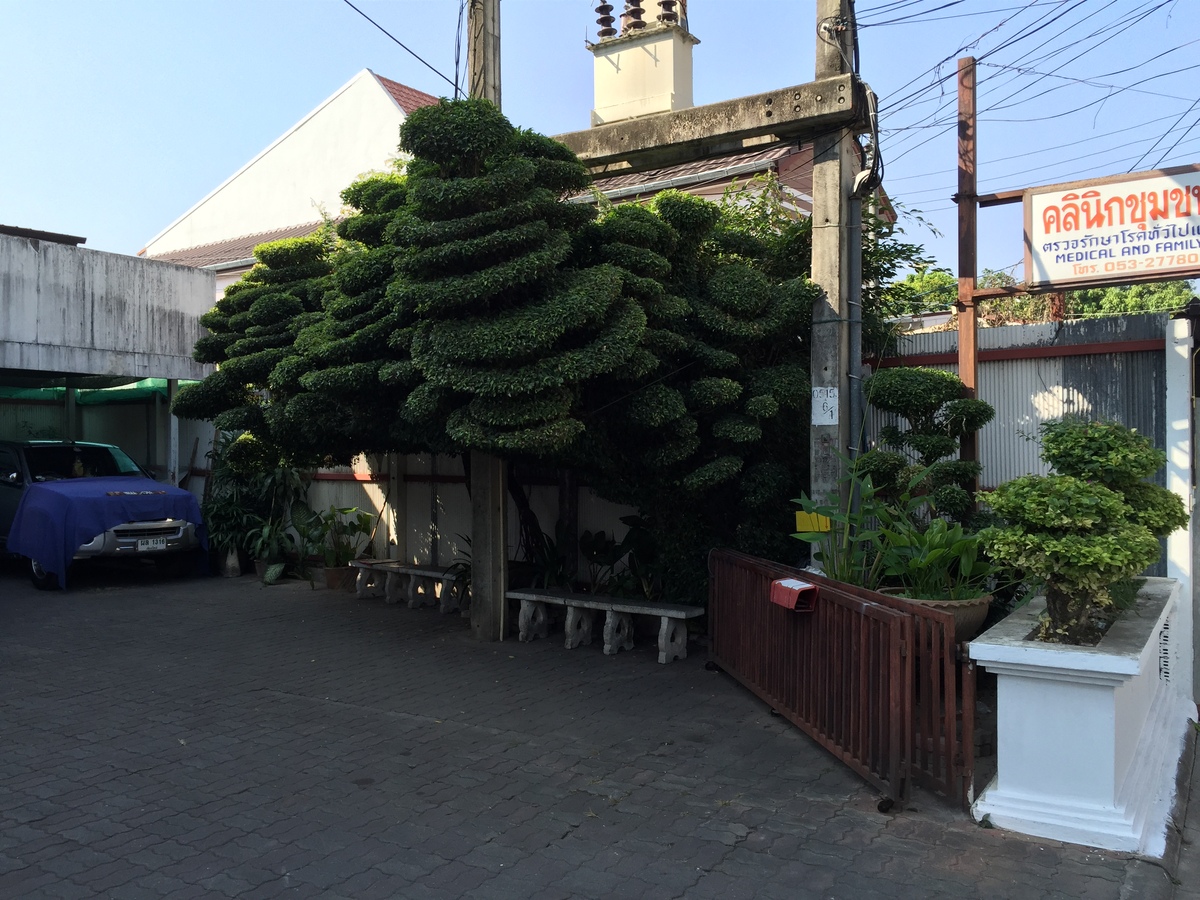 Photo Thaïlande Chiang Mai 2014-12 13