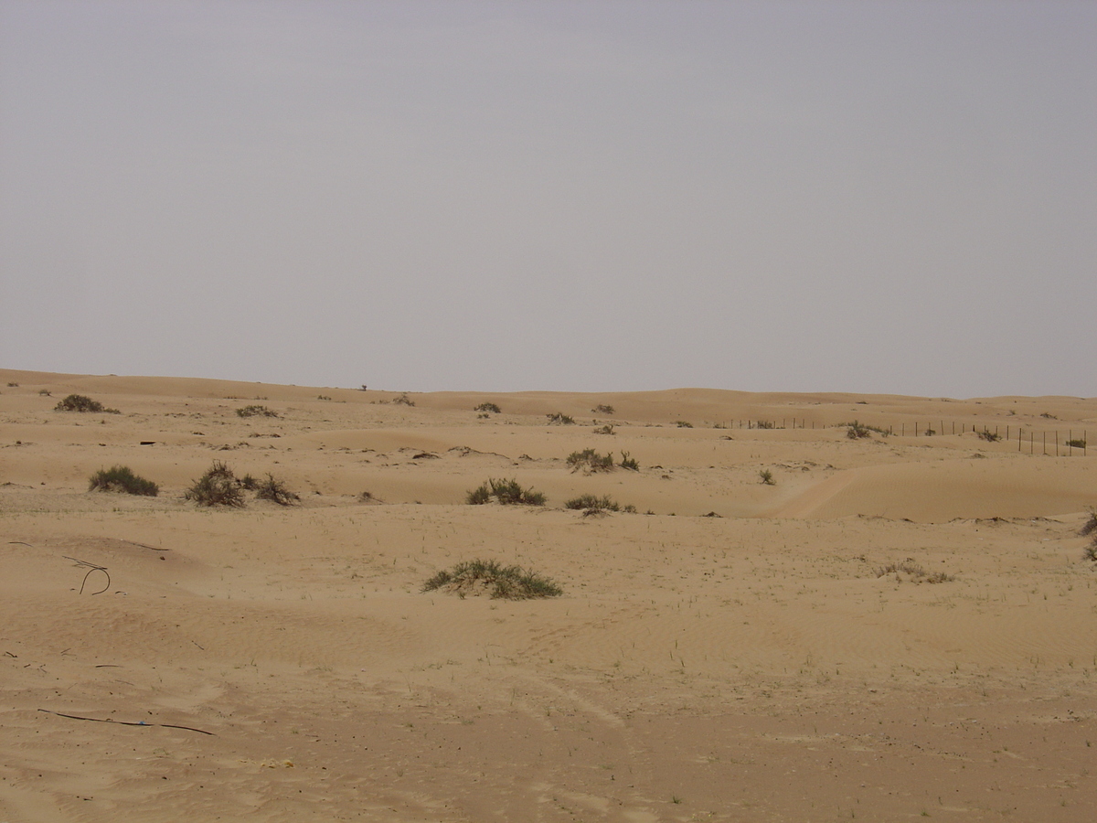 Photo Émirats arabes unis Route de Dubai à Al Ain 2005-03 17