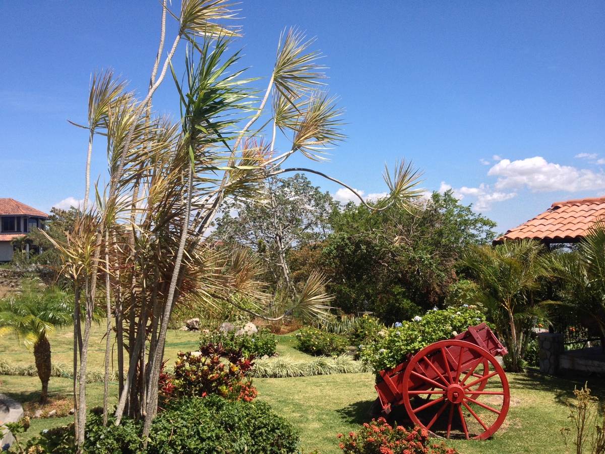 Photo Panama Boquete 2015-03 5