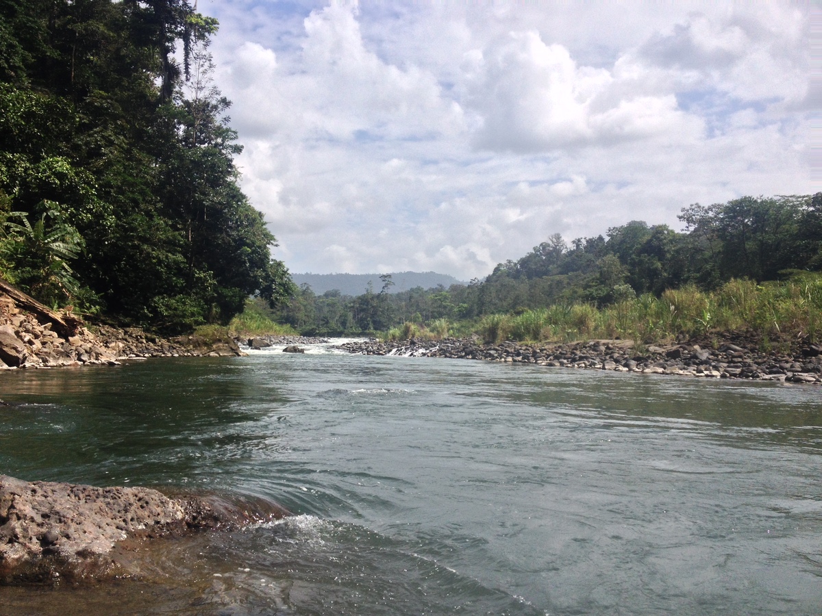 Photo Costa Rica Rivière Pacuare 2015-03 156