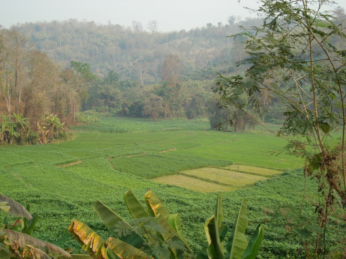 Photo Thaïlande Route de Chiang Mai à Pai 2007-02 0