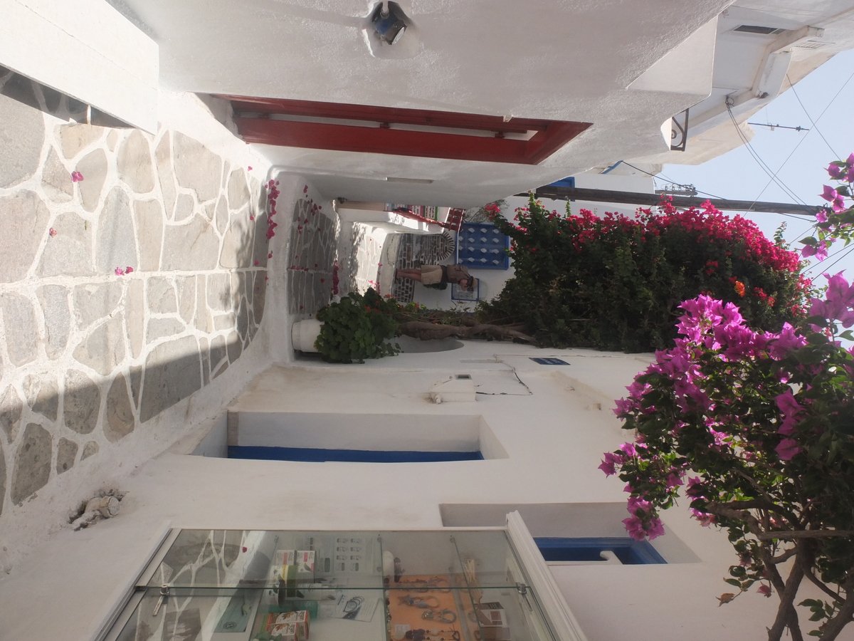 Photo Grèce Naxos 2014-07 72
