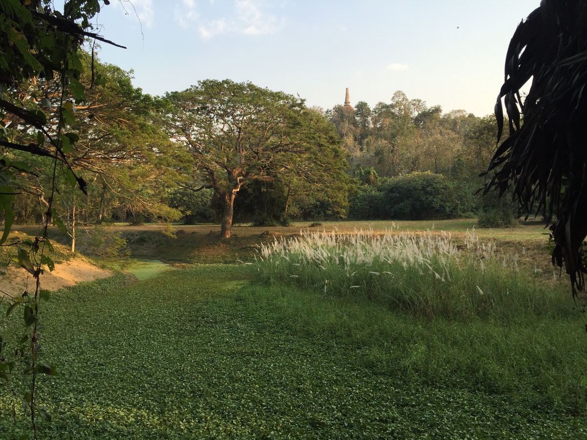 Photo Thaïlande Parc Si satchanalai 2014-12 134