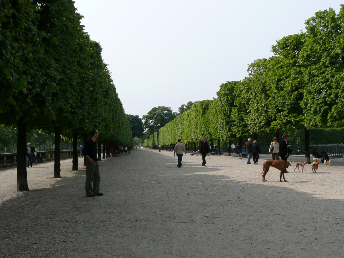 Photo France Paris Jardin des Tuileries 2007-05 342