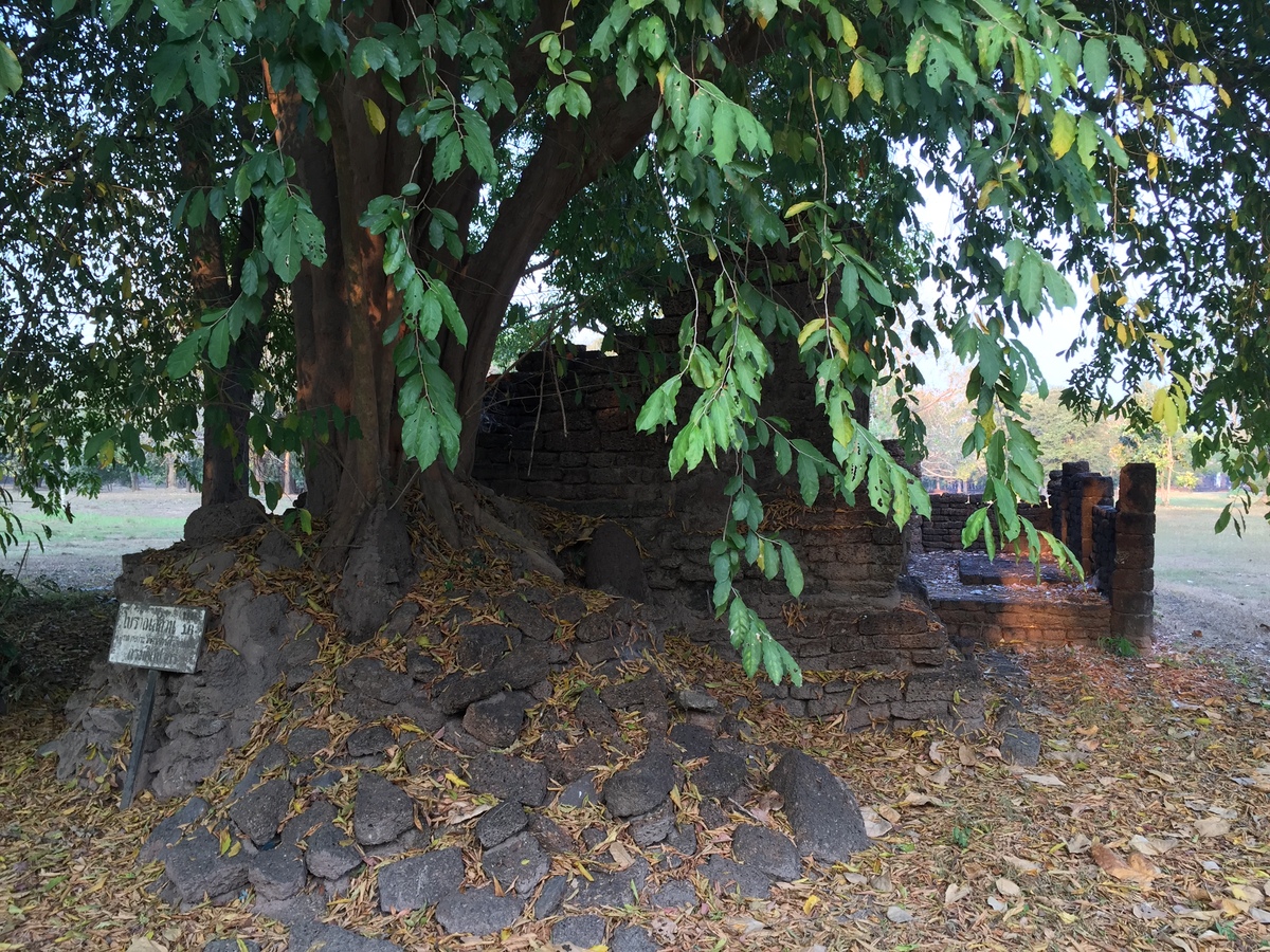Photo Thaïlande Parc Si satchanalai 2014-12 121