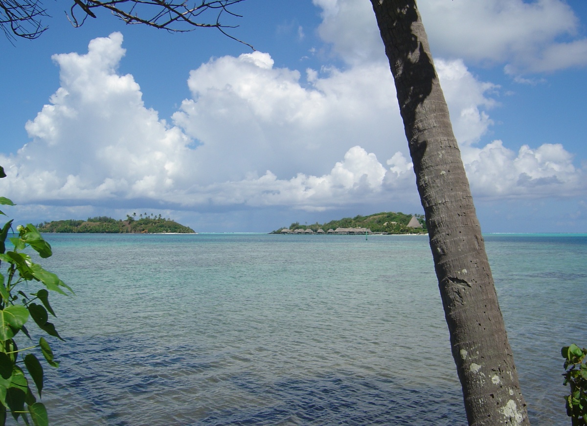 Photo Polynésie Bora Bora 2006-04 137