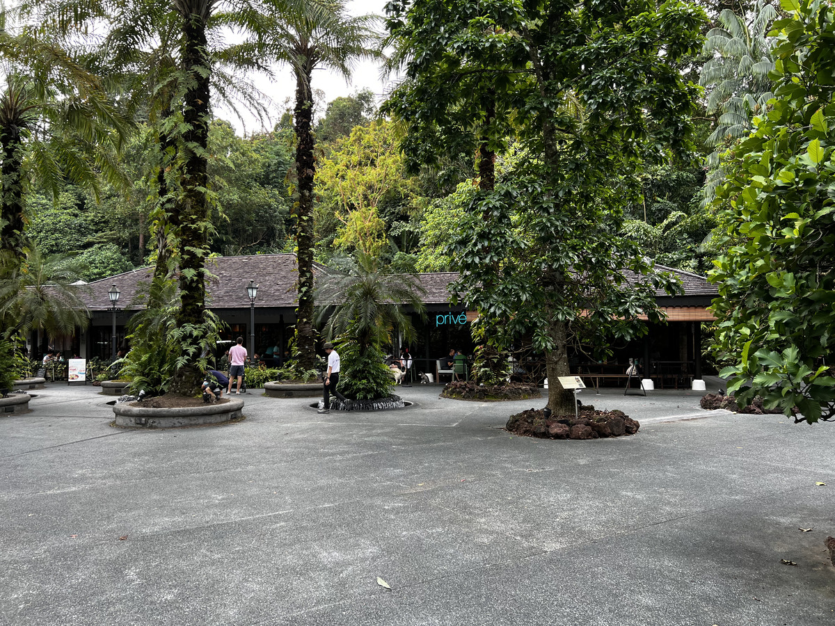 Photo Singapour Jardins botaniques de Singapore 2023-01 119