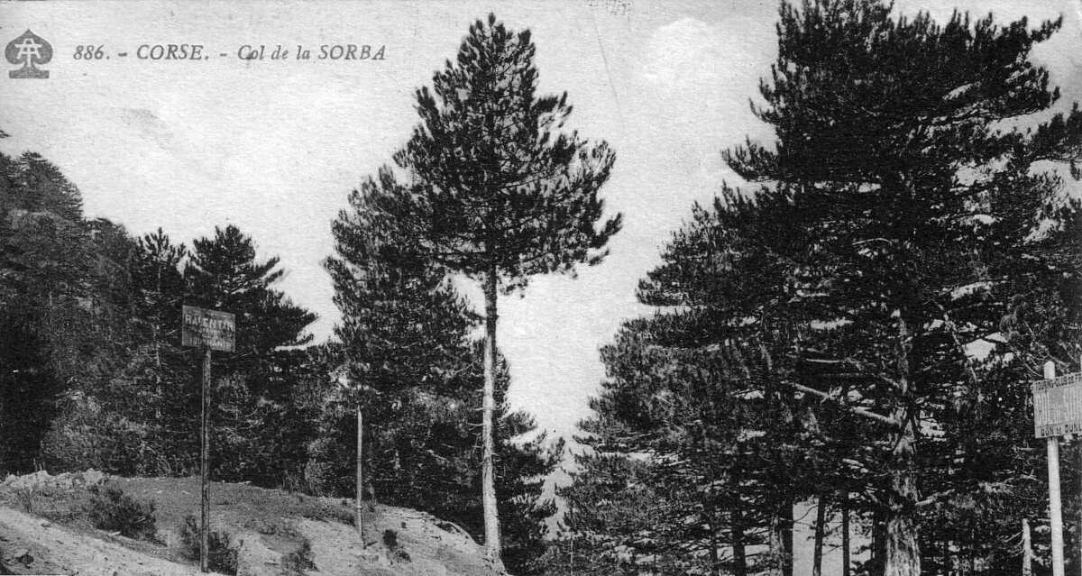 Photo France Corse Cartes postales anciennes 1900-01 232