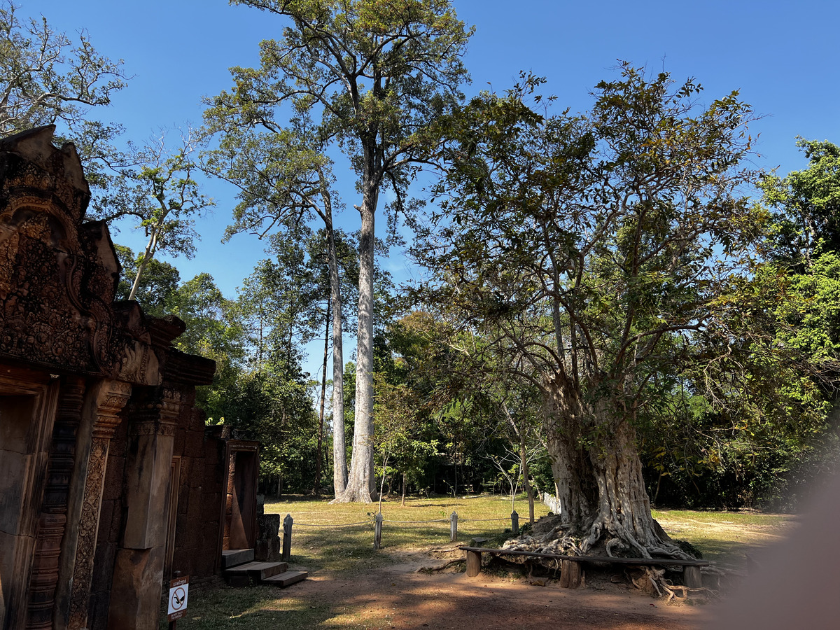 Photo Cambodge Siem Reap Banteay Srei 2023-01 49