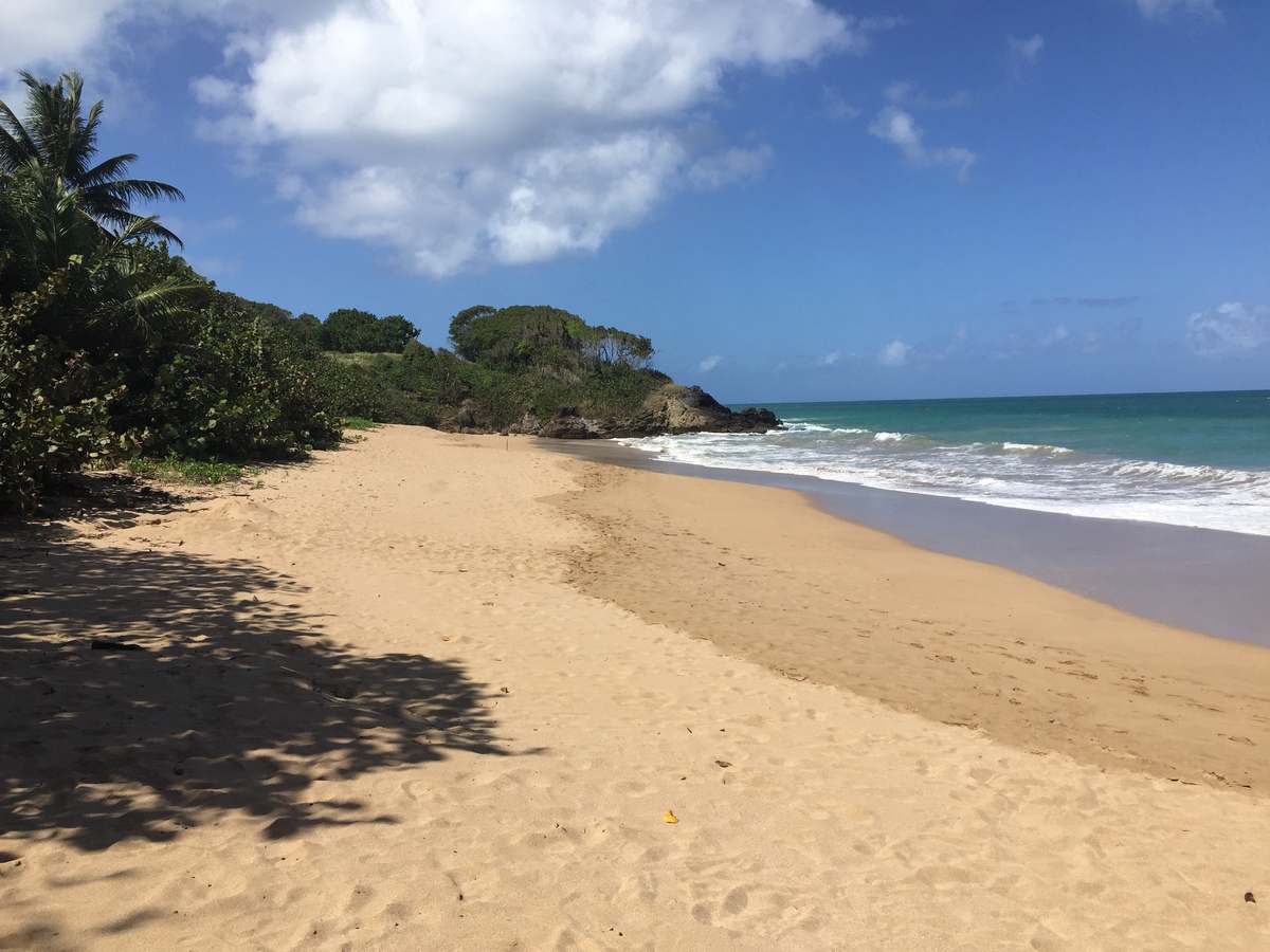 Photo Guadeloupe Deshaies 2021-02 1