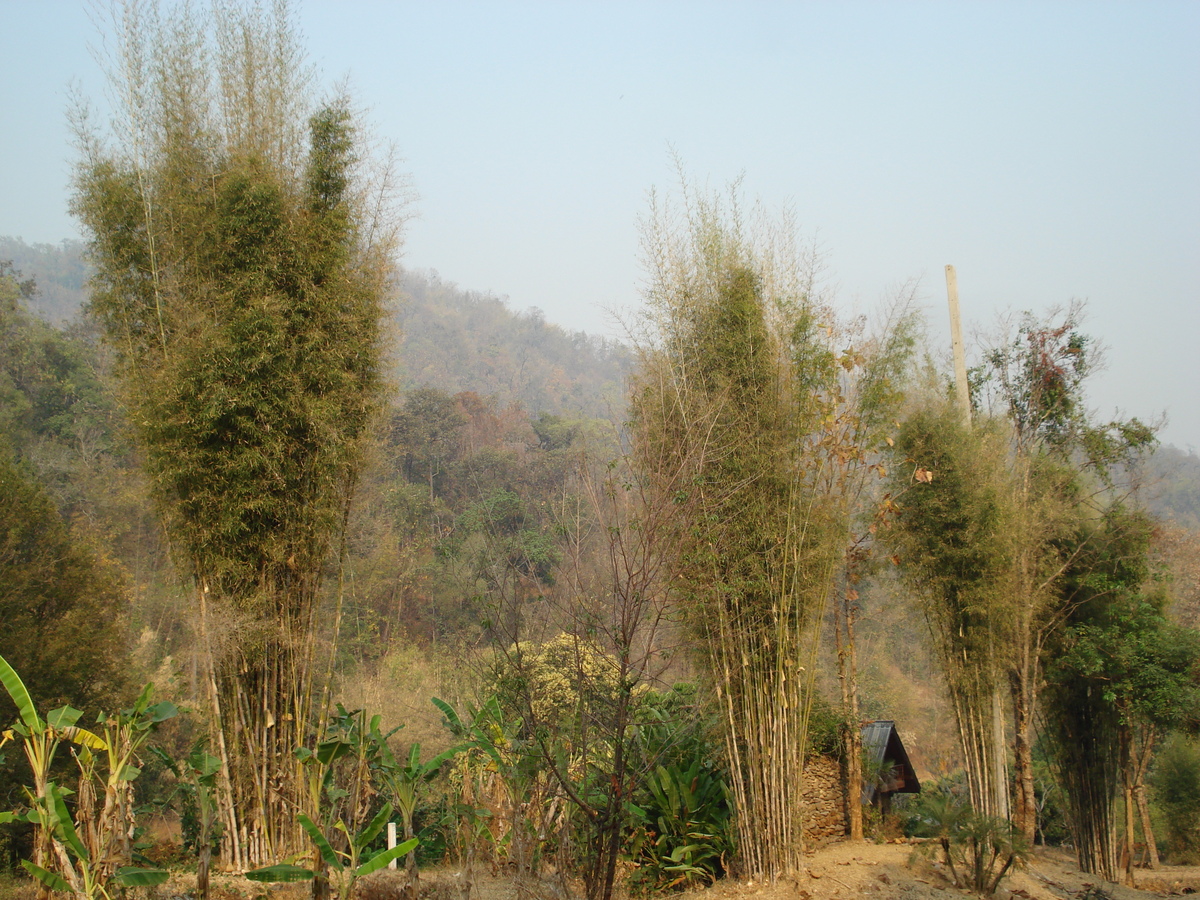 Photo Thaïlande Route de Chiang Mai à Pai 2007-02 13