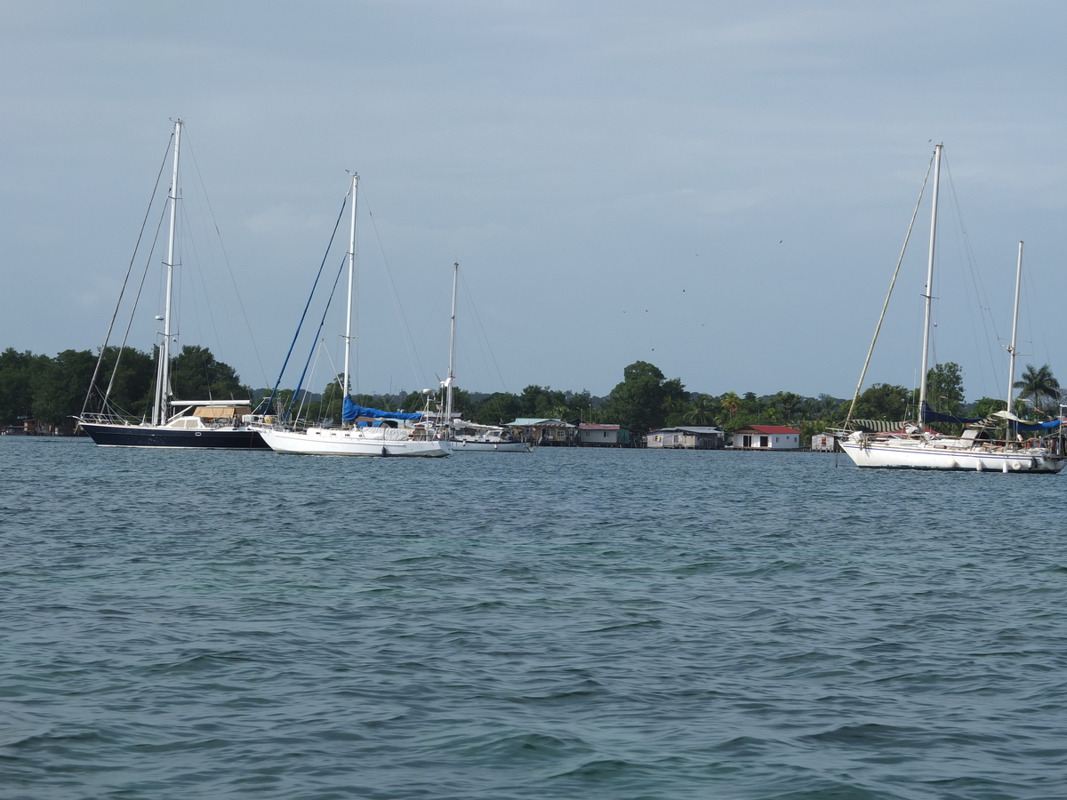 Photo Panama Bocas del toro 2015-03 74