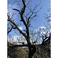 Photo France Conques 2018-04 85