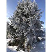Photo France Praz sur Arly 2019-12 57