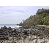 Photo Costa Rica Montezuma 2015-03 445
