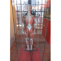 Photo Espagne Saint-Jacques-de-Compostelle 2013-01 38