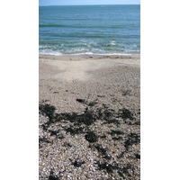 Photo France Préfailles Pointe St Gildas à Préfailles 2007-07 38