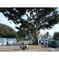 Photo France Nice 2007-02 8