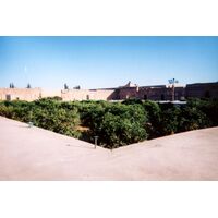 Photo Maroc Marrakesh 1998-12 40