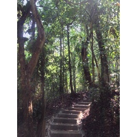 Photo Costa Rica Parc Manuel Antonio 2015-03 507