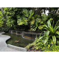 Photo Singapour Jardins botaniques de Singapore 2023-01 53