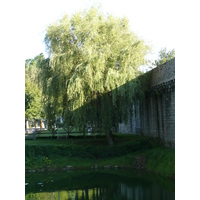 Photo France Guérande 2007-08 11