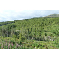 Photo Royaume-Uni Wester Ross 2011-07 36
