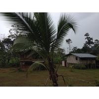 Photo Panama David à Bocas del toro 2015-03 5